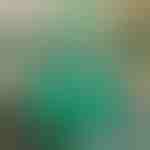 Planten entband