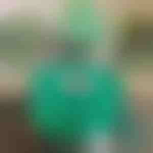Planten entband
