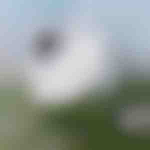 Magnetische ruitenreiniger | WINDOWSWIPE