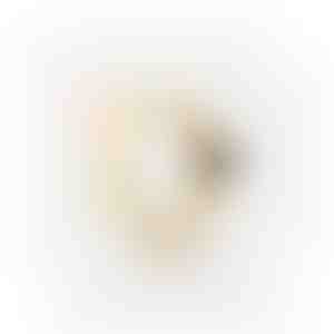 Oorbellen | JUPITER_GOLD