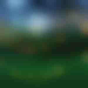 Zonne-energie LED-verlichting (5 m) | SOLSTICE