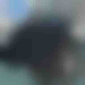 Draaibaar zitkussen | SPINPAD