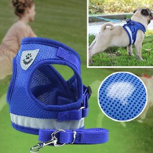 Verstelbaar Reflecterend Harnas en Leiband | LEASHNGO