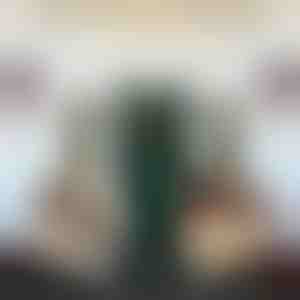 Sneeuwpop lichtkapjes | SNOWKO