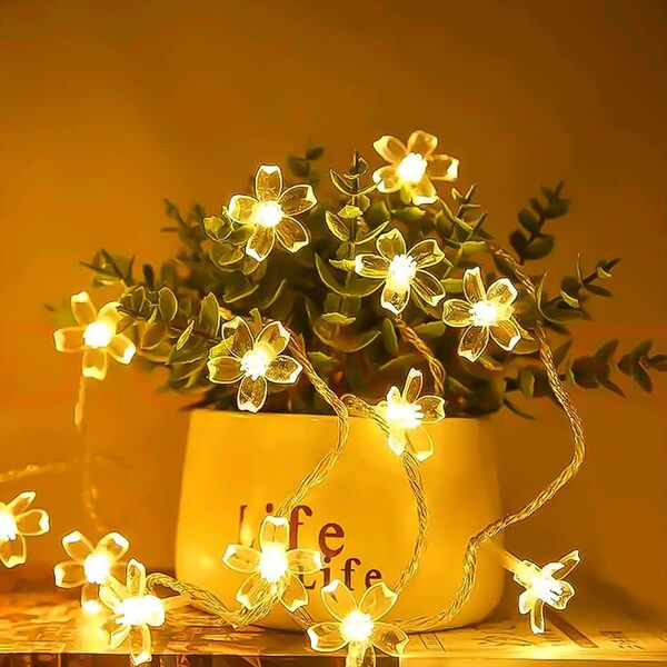 DAISYGLOW