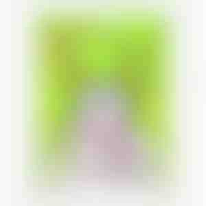 Gezichtsmasker | SWEETPANDA