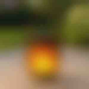 Zonlantaarns met dansend vlam-effect | FLAMLUX