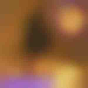 Lichtsnoer | FELTLIGHTS