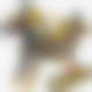 Magnetisch dinosaurus-autospeelgoed | ROARWHEEL