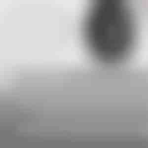 Snelafdichtende bandenreparatiespijkers | VULCOFIX