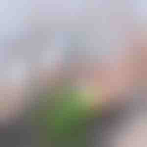 Geavanceerd koolstoffilter voor kranen | CHARFILTER