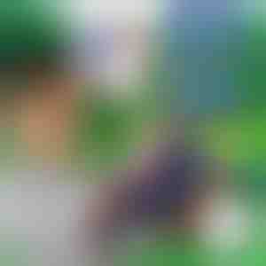 10+10 GRATIS schuimpijlen voor BLASTKID | F2OAMBULLETS