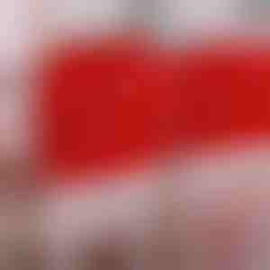 Feestelijke stoelhoezen 4x | SANTASEAT