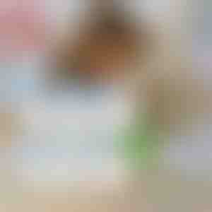 6 wegwerpzakken + luizenkam GRATIS