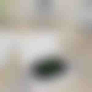 Draagbare horloge-oplaadbank | WATCHBANK