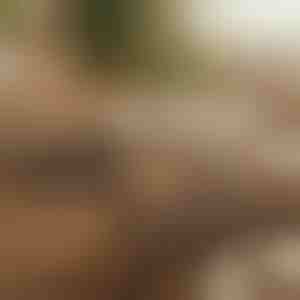 Magnetische zelfklevende kabelorganizer | CABLIP