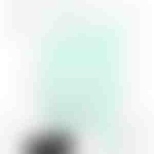 Flexibele afvoerborstel voor schuifdak | DRAINOVA