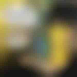 Kinder Autodienblad | MUNCHI 1+1 GRATIS